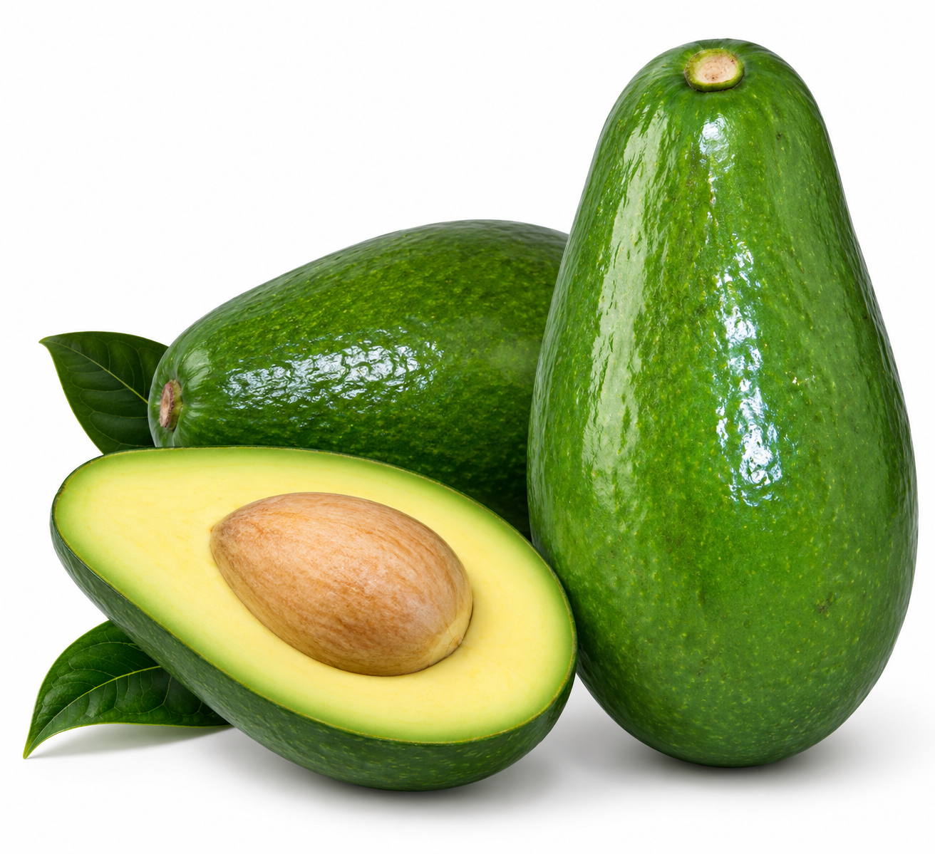 Aguacate Beneker Beni