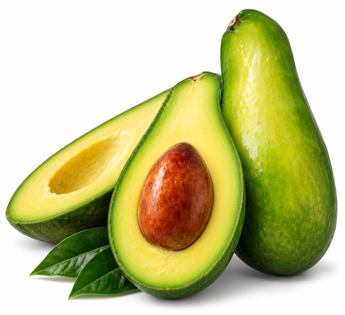 Aguacate K5 / Popenol