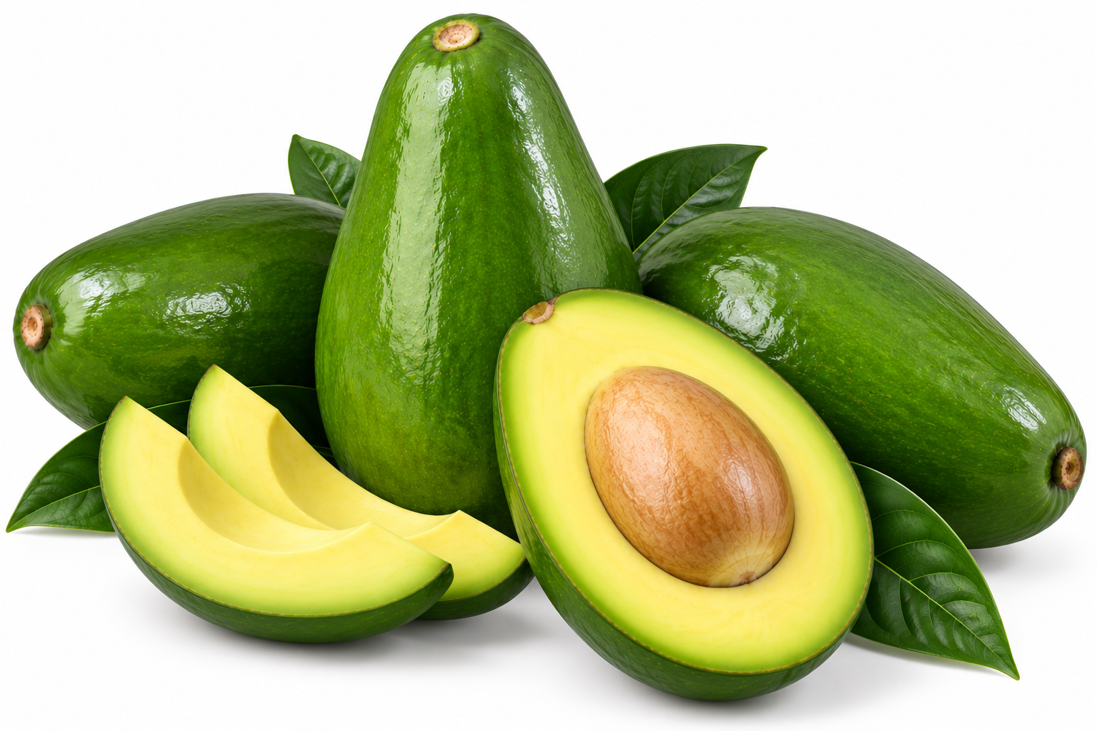 Aguacate Pola