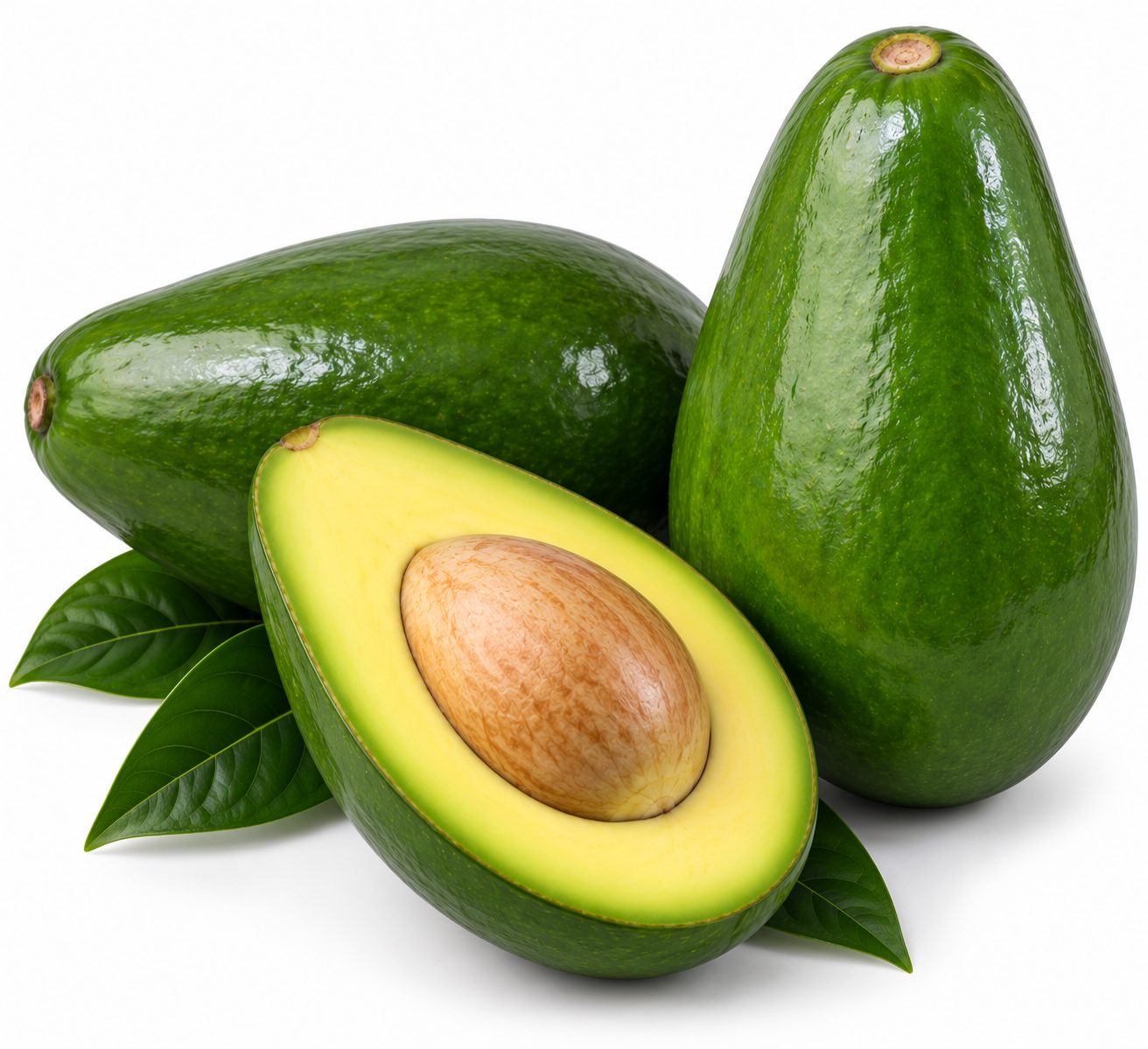 Aguacate Pola