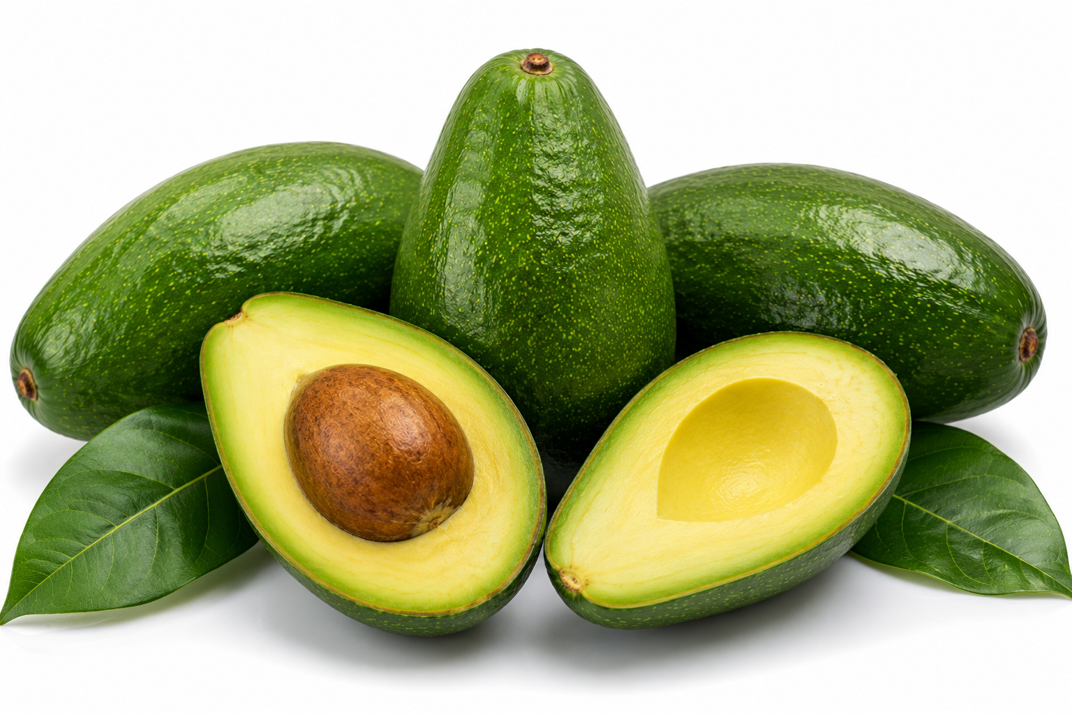 Aguacate Semil 34